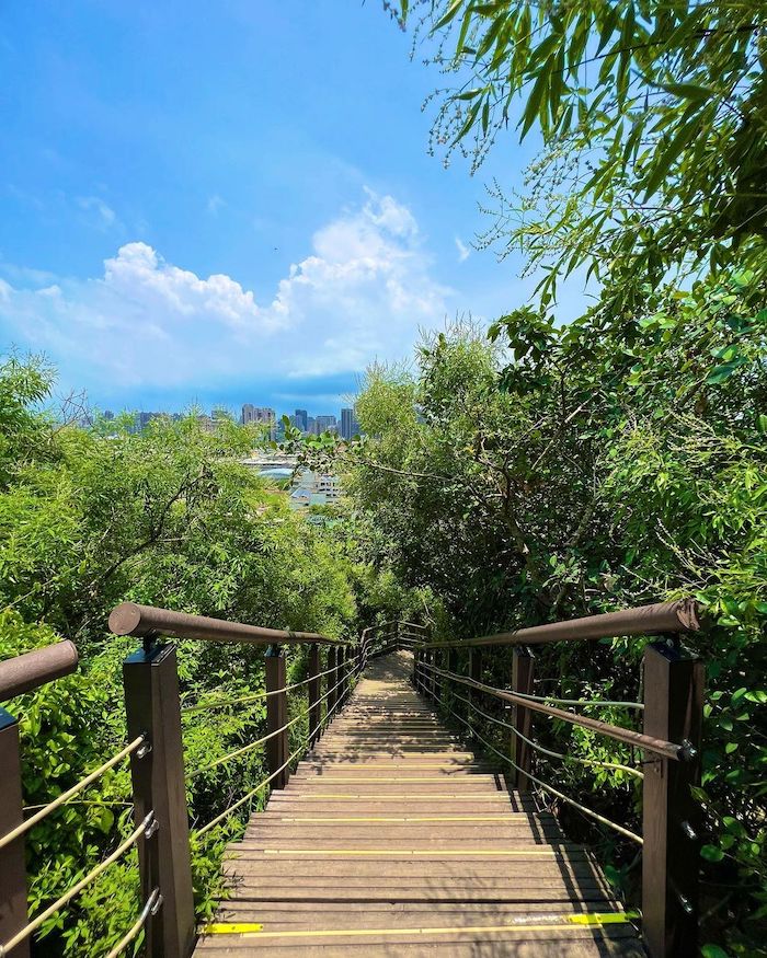 柴山登山步道