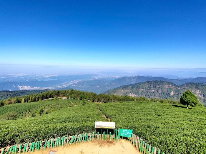 雲嶺之丘