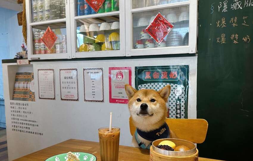 宜蘭寵物友善
