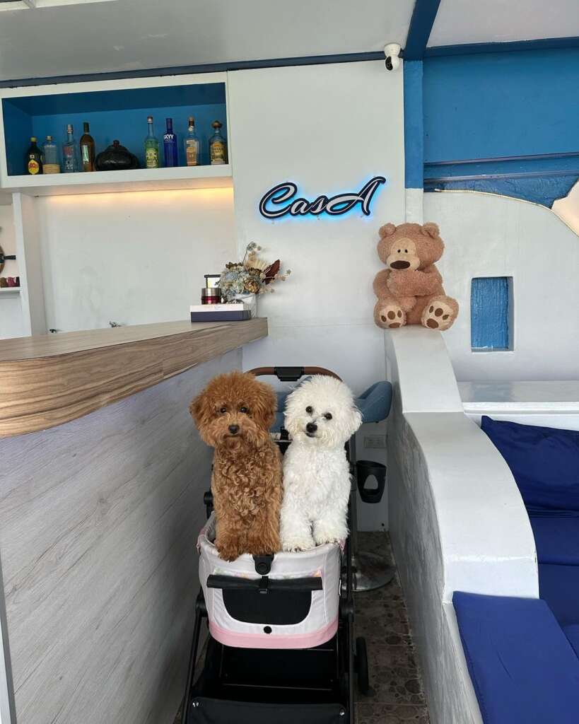 地中海CASA Café