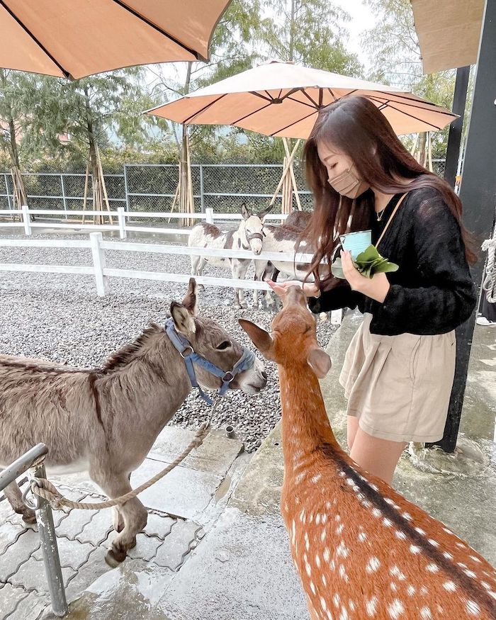 星寶蔥體驗農場