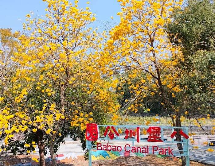 二水名間一日遊