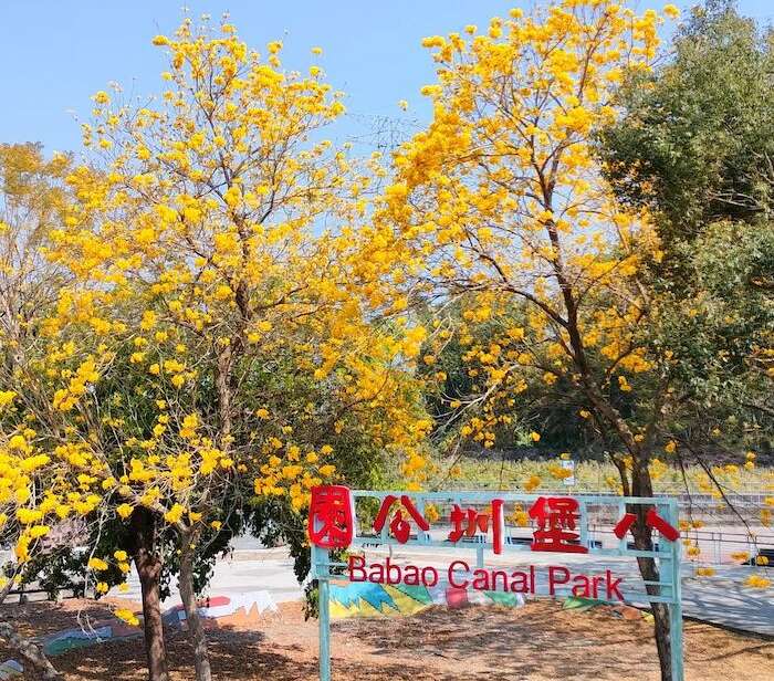 二水名間一日遊