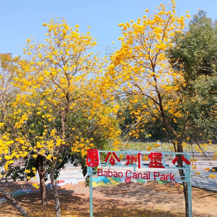 八堡圳公園