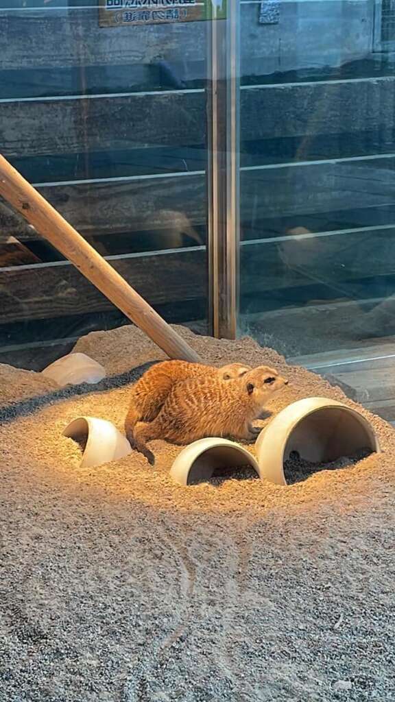 水岸-森林物語可愛動物園區