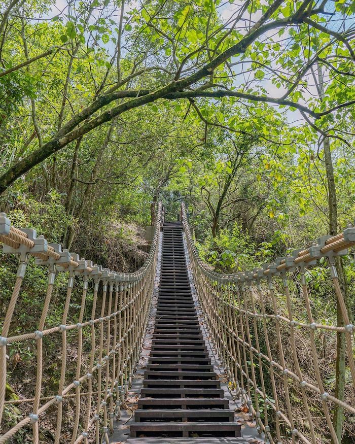 楓仔林登山步道