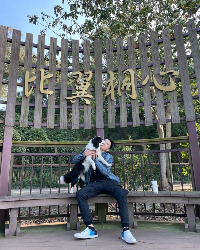 永豐六分桐花步道