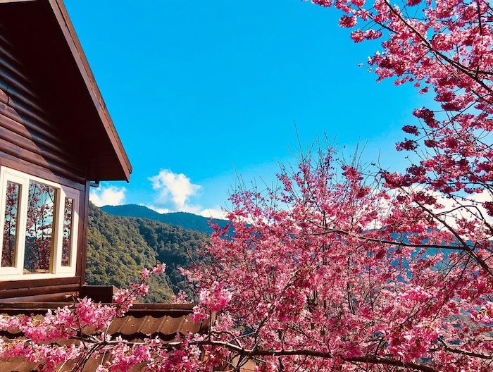 桃園拉拉山