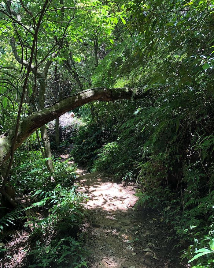 溪洲山登山步道