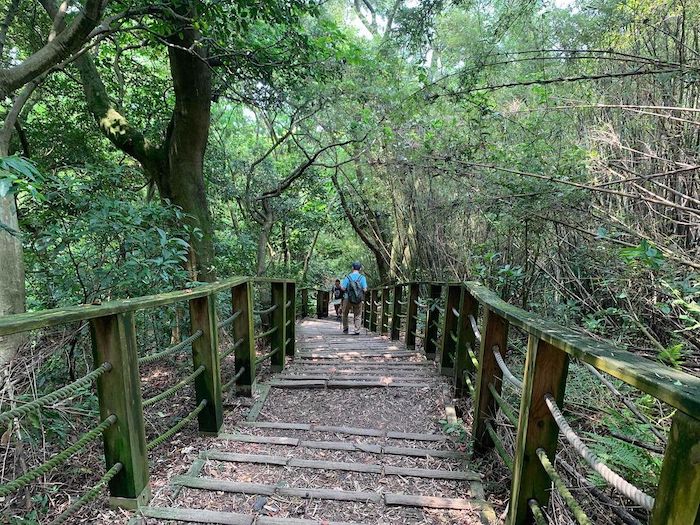 羊稠森林步道