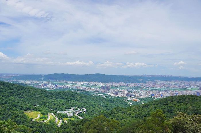 土城桐花公園