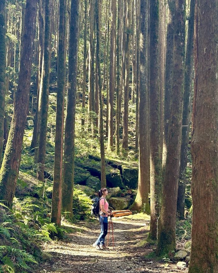 橫嶺山自然步道