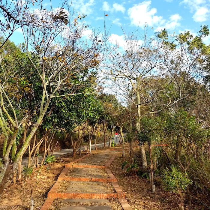 龍井 竹坑-南寮登山步道