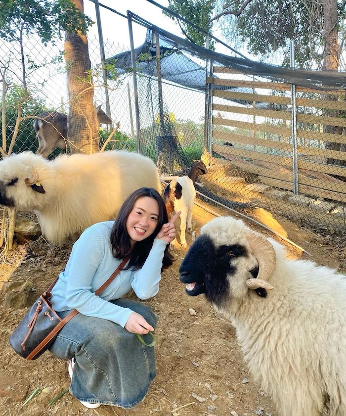 咩咩上樹萌寵樂園