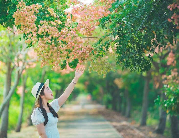 水上一日遊