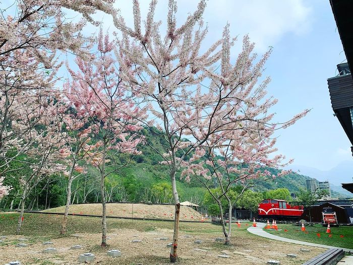 阿里山國家風景區-管理處暨觸口遊客中心