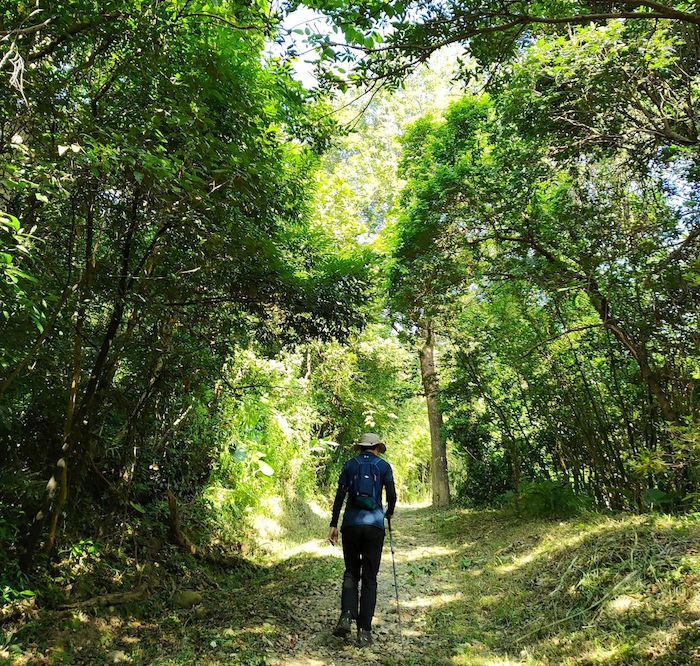 文林生態古道