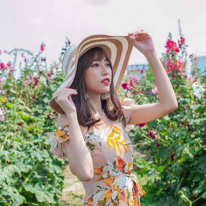 台南學甲蜀葵花田