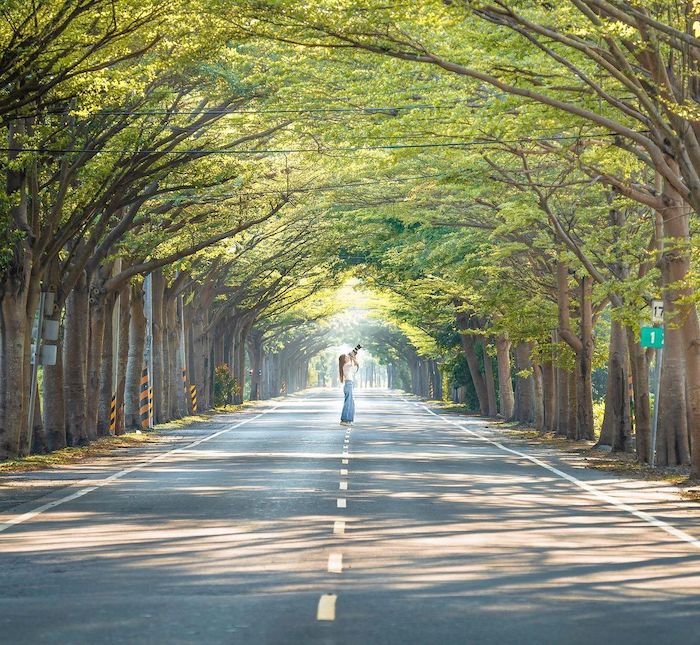 學甲綠色隧道