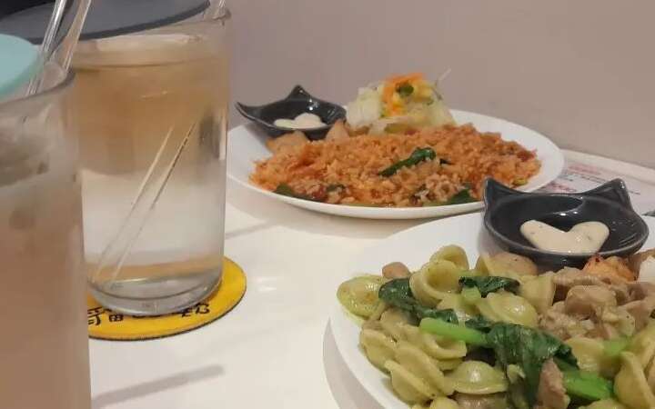 貓欸Camulet貓咪主題餐廳