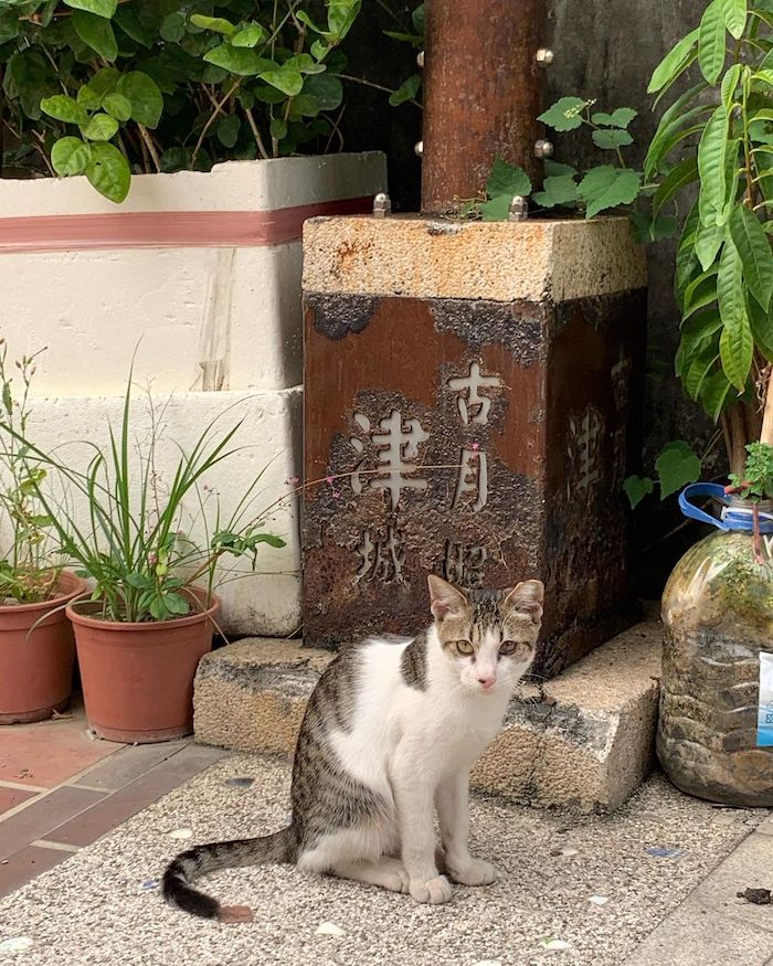 橋南老街