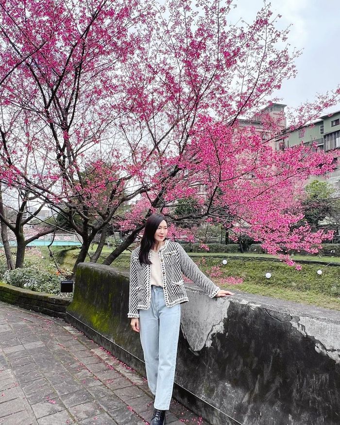 康誥坑溪櫻花大道