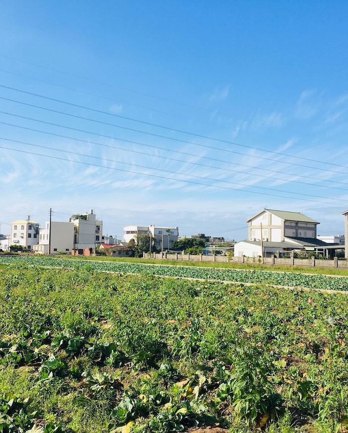 陶色公路