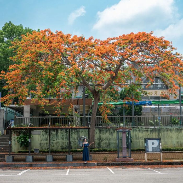 芬園鄉立幼兒園