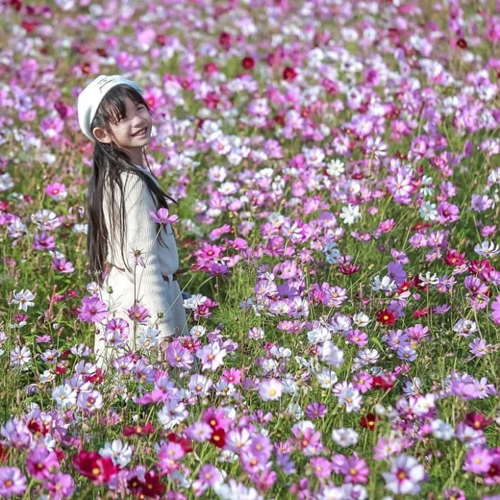 芬園嘉東街