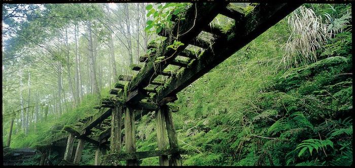 茂興懷舊步道