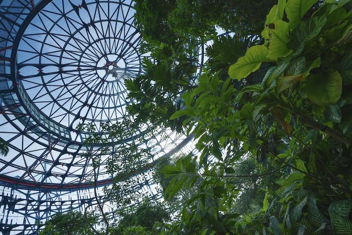 國立自然科學博物館植物園