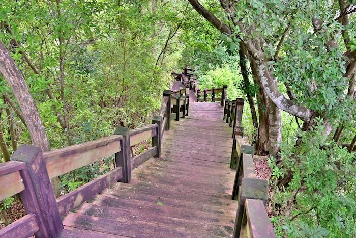 草嶺登山步道