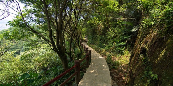 紅淡山步道