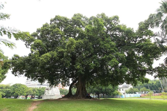 臺中公園