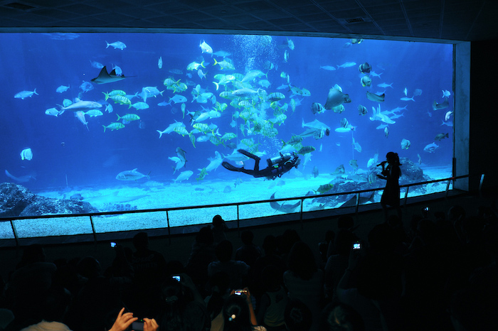 海洋生物博物館