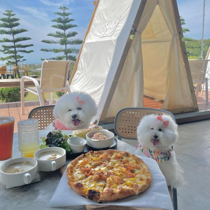 用上自然膳食堂- 寵物友善餐廳