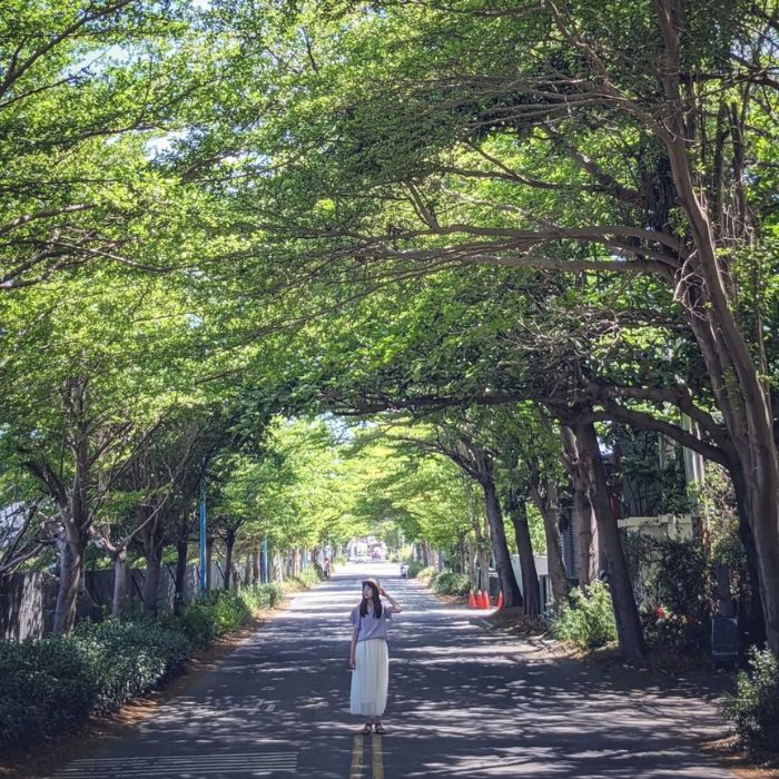 秀水綠色遂道