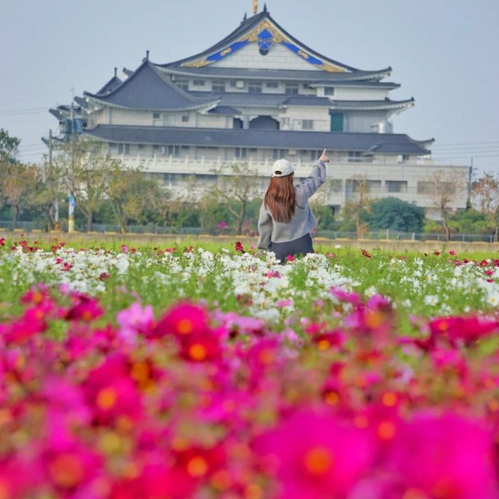 秀水金陵村