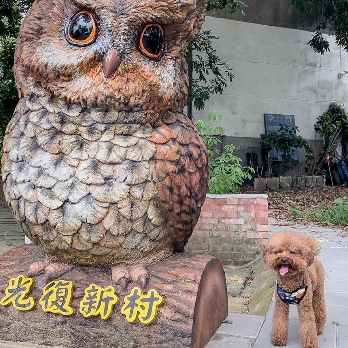 光復新村 GuangFu Village