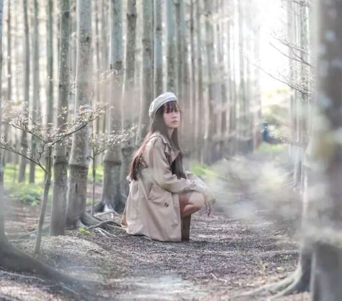 田尾彩色小葉欖仁森林