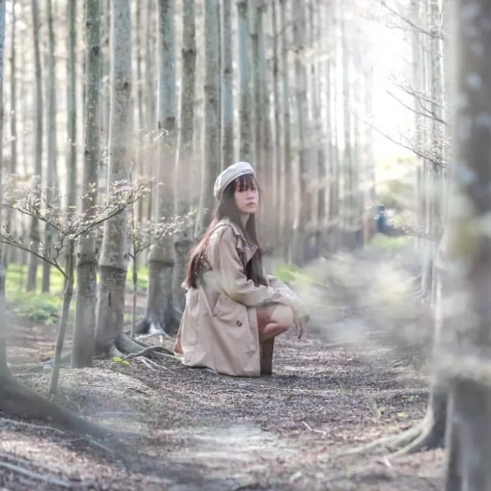 田尾彩色小葉欖仁森林