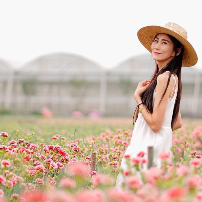 董家花田（草地）