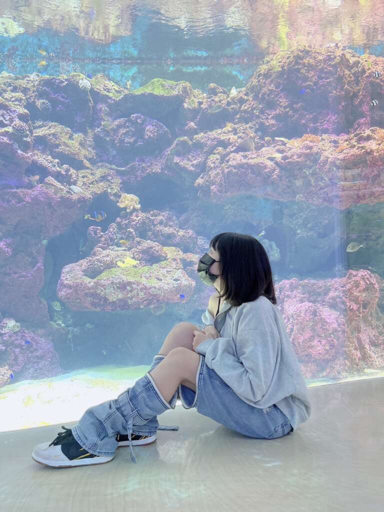 Xpark