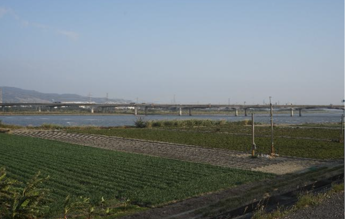 大肚溪口重要濕地