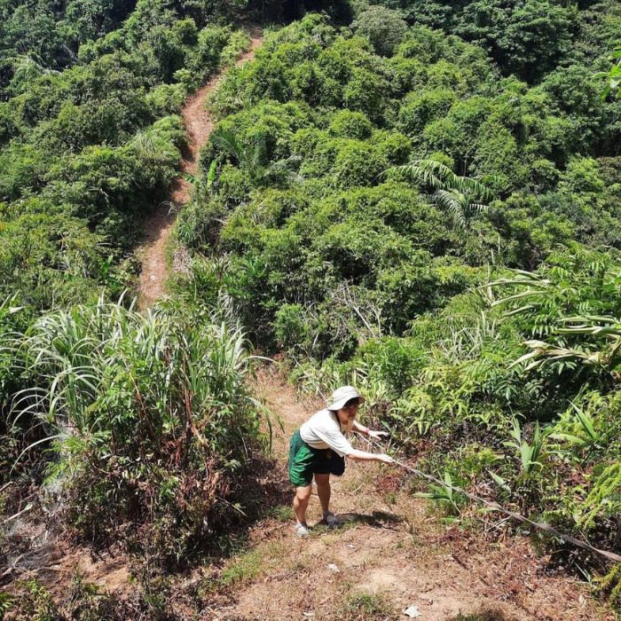 暖壽山