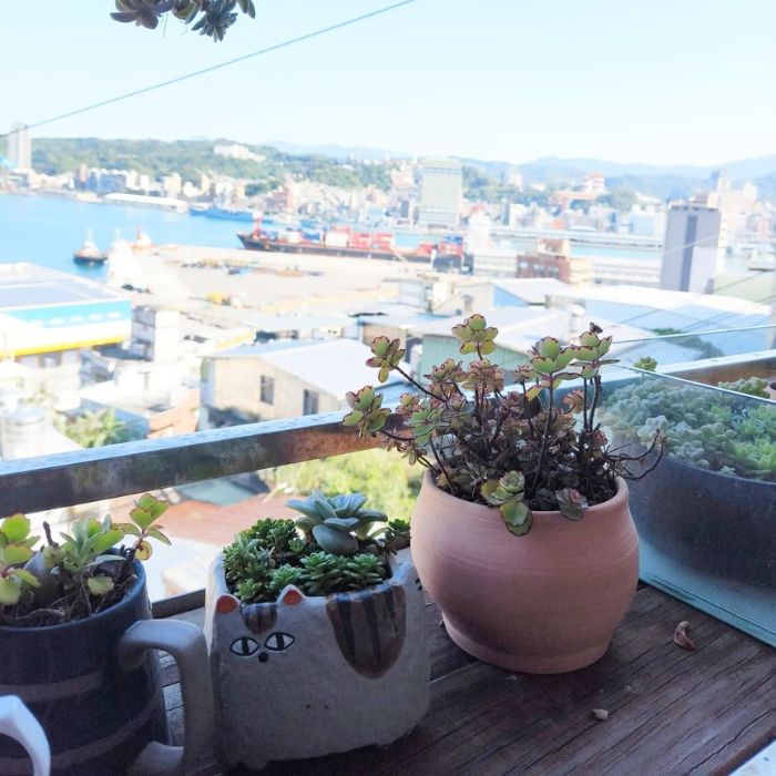 後山海景珈琲