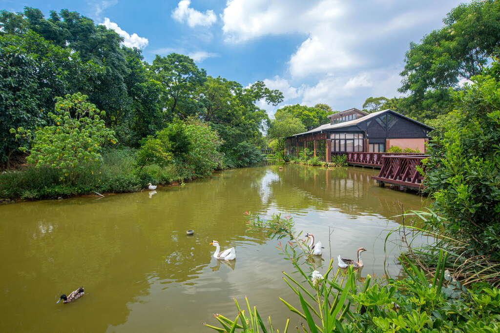 八德埤塘自然生態公園