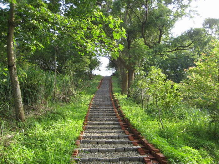 神棹山桐花步道