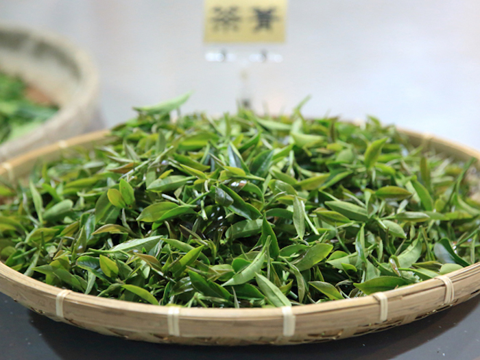 銅鑼茶廠