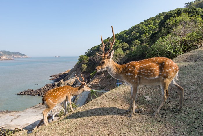 大坵